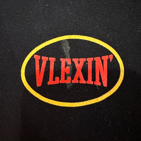 Vlexin Hoodie - Picture 2 of 3